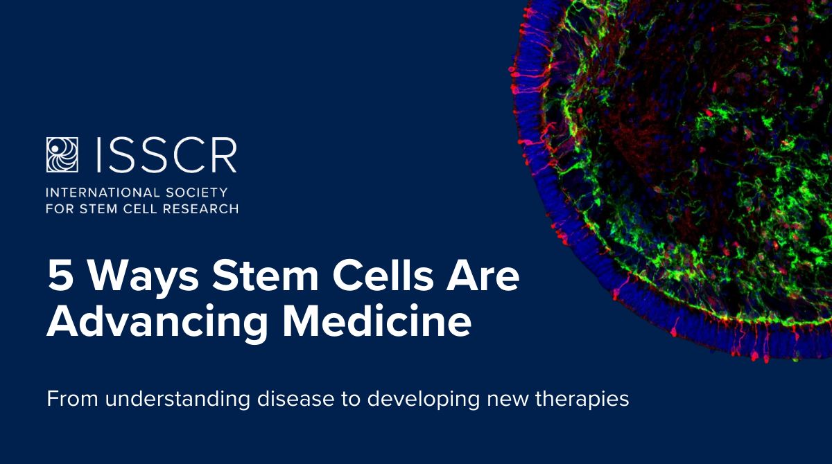 5 Ways Stem Cells Are Advancing Medicine — ISSCR